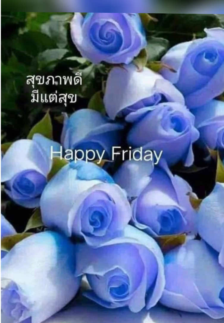 @sonthaya6595