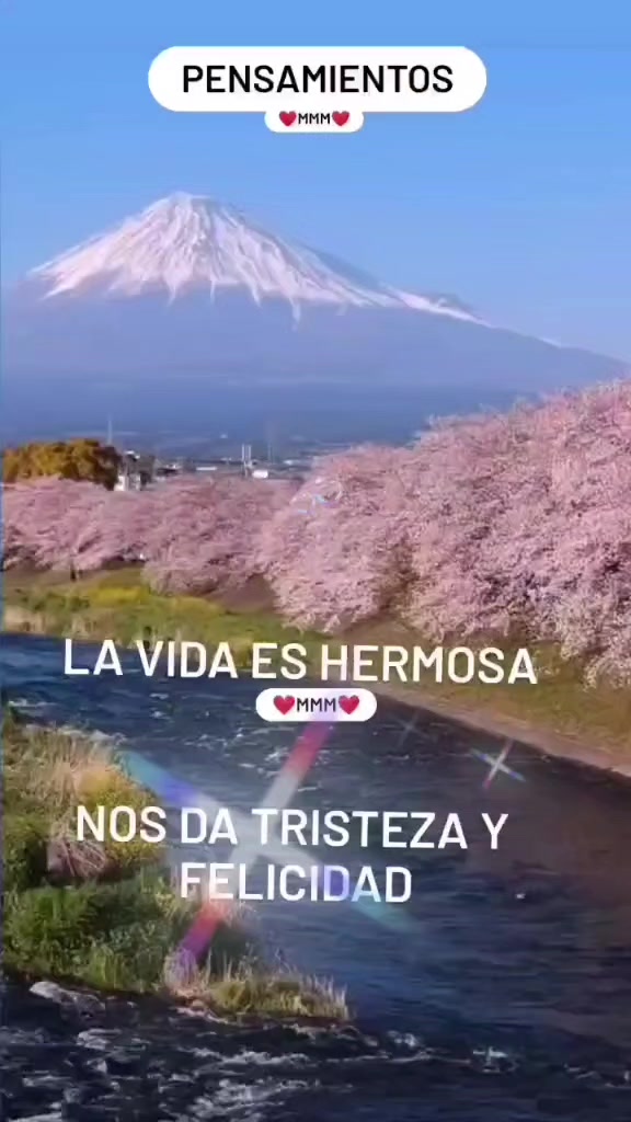 @Linda Maldonado