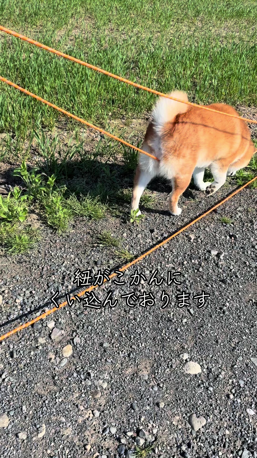 @nana0209 🪽🥴