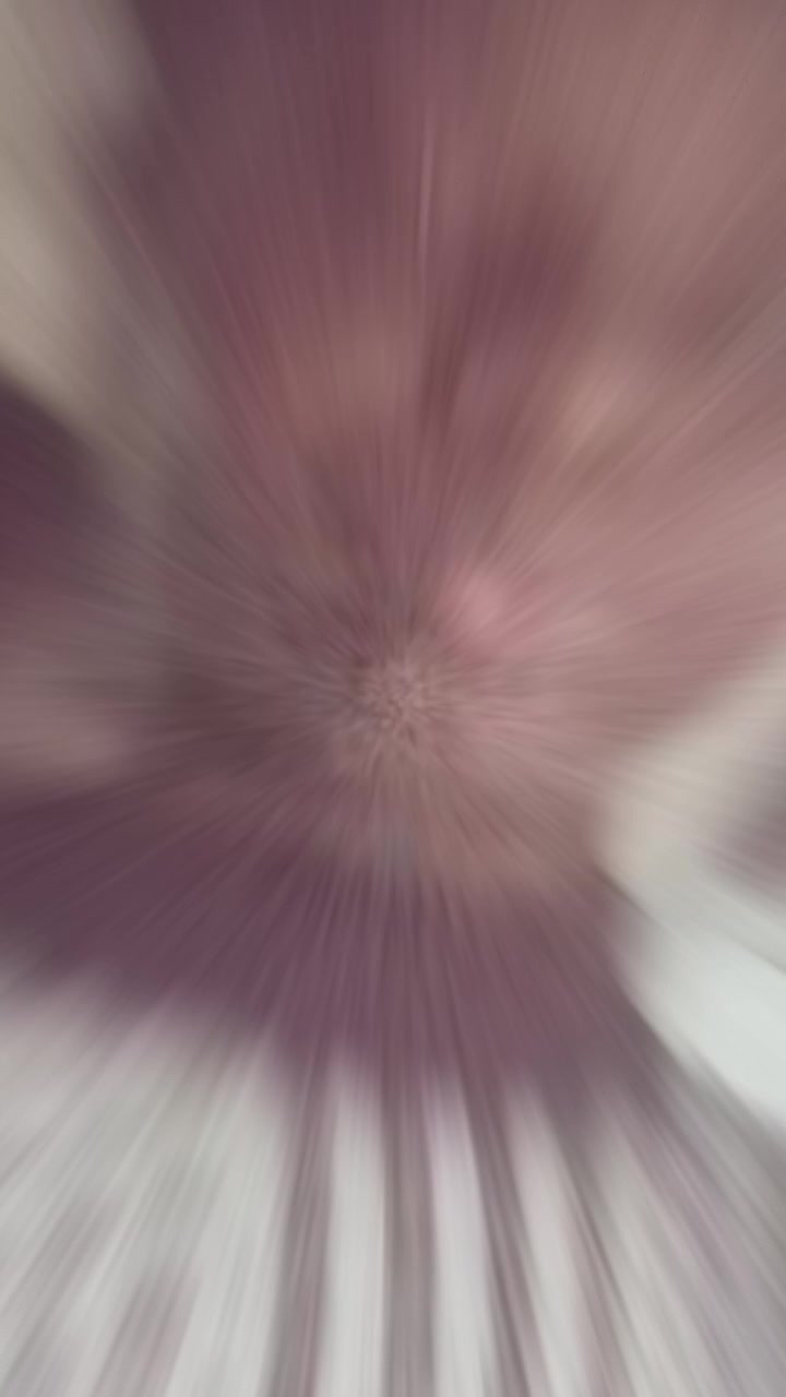 @๐ฆโจ๐๐ค๐๐โจ๐ฆ