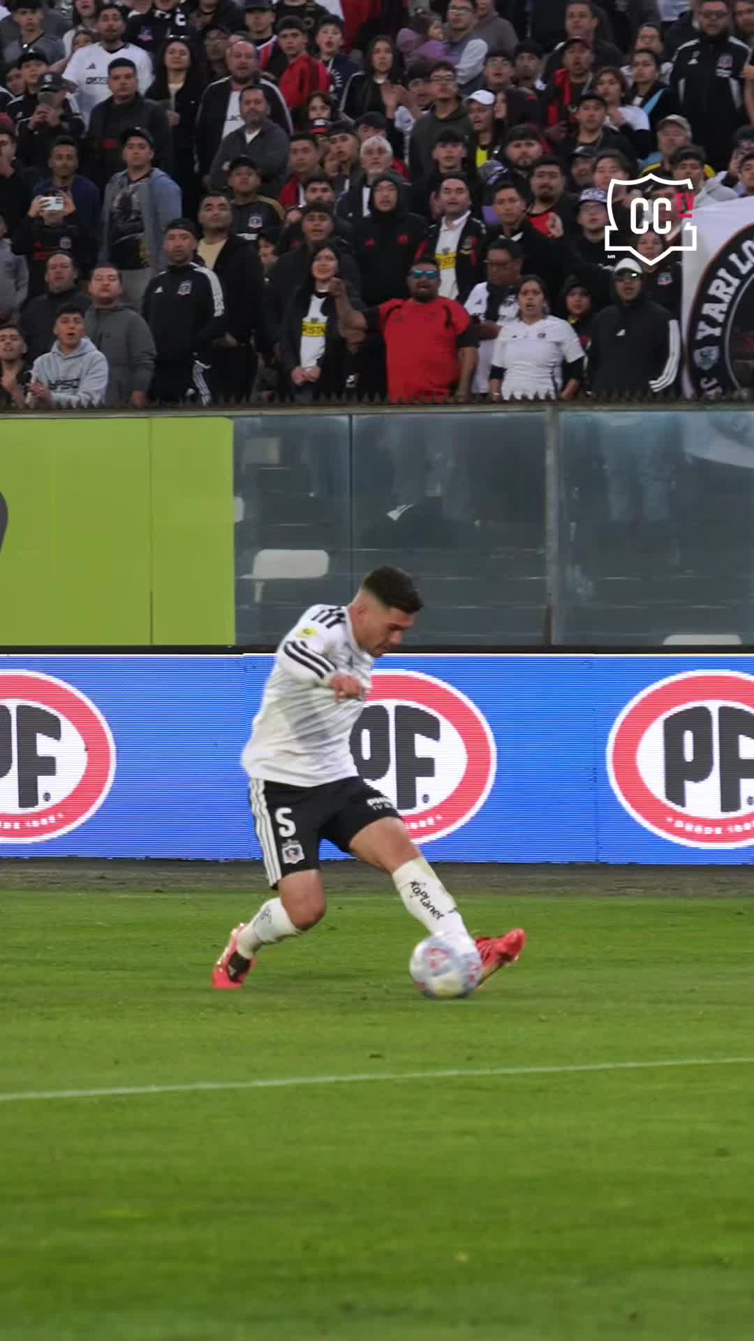 @Colo-Colo