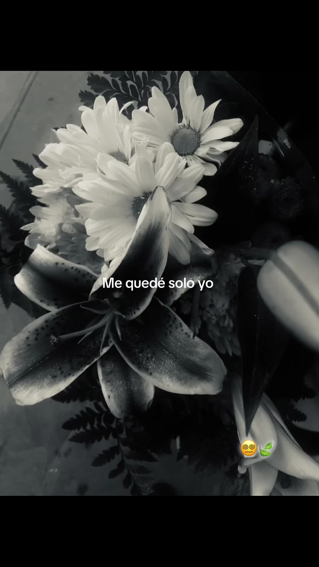 @✘ ✘