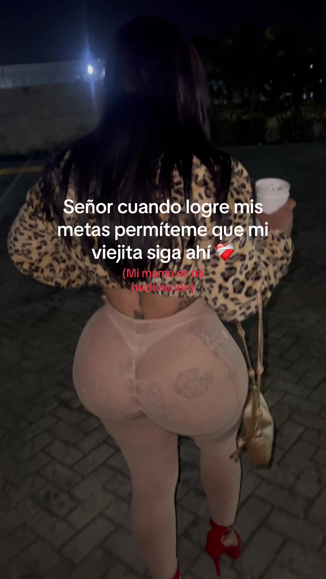 @obeylis 🌸🌹