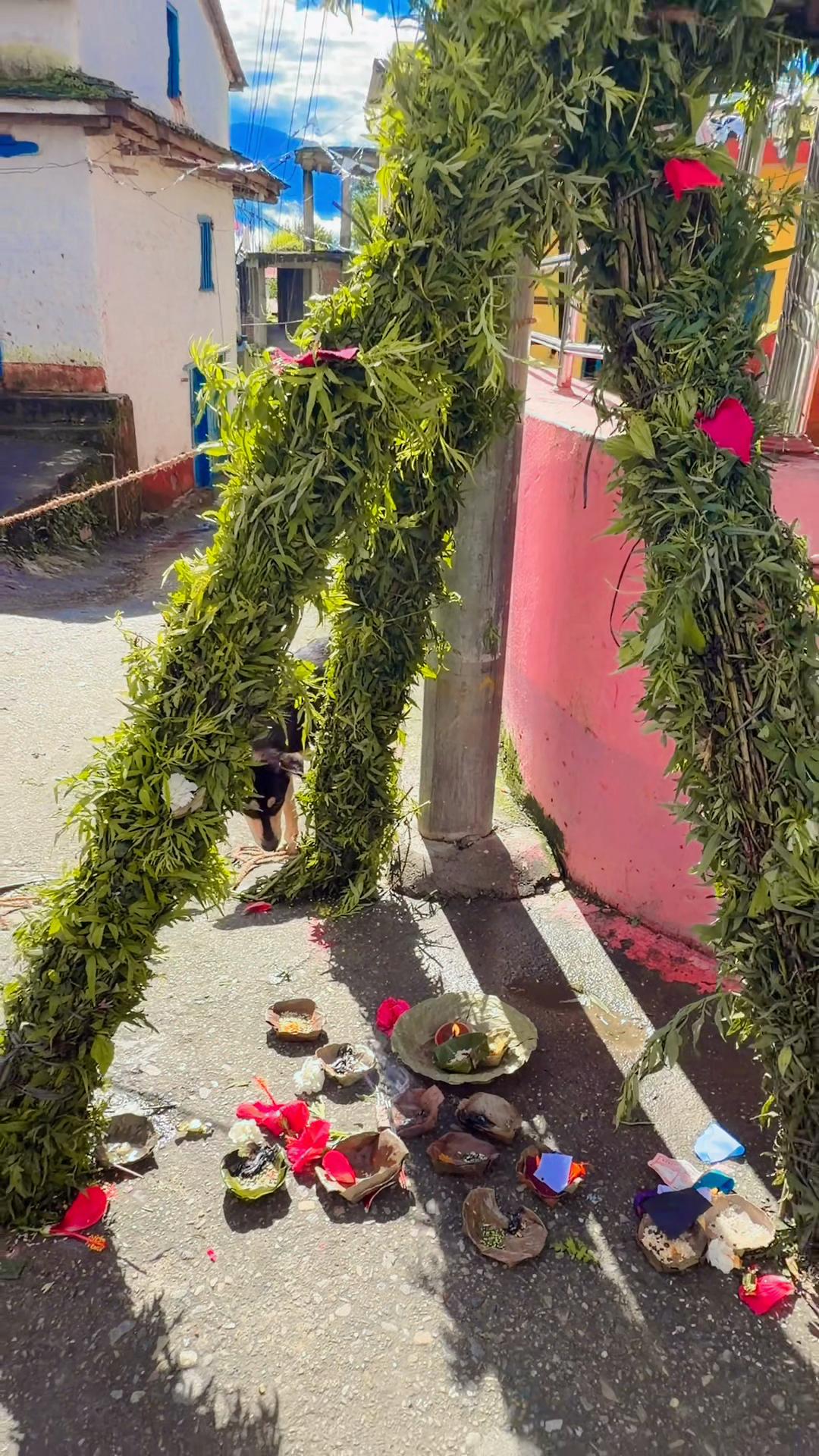 @Hema khadka(bulletrani)