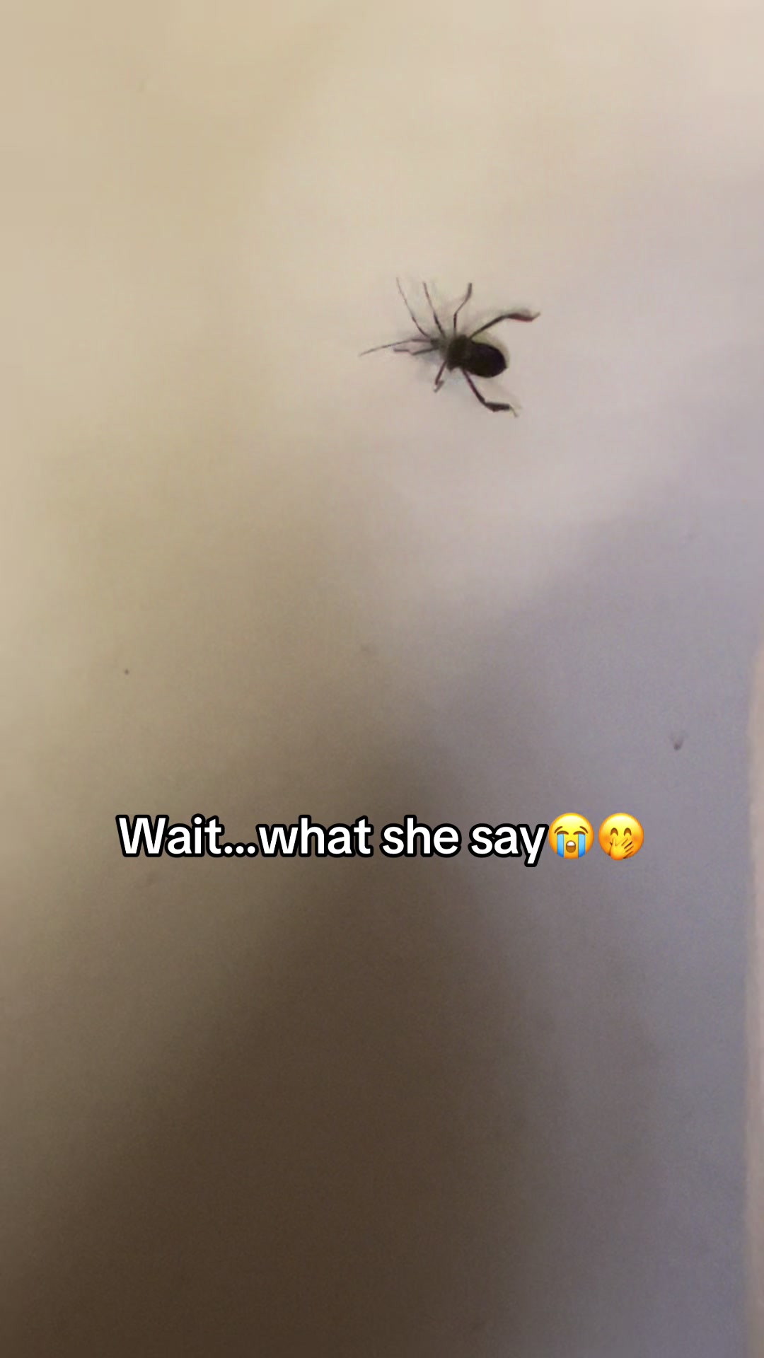 @Cayy Cayy