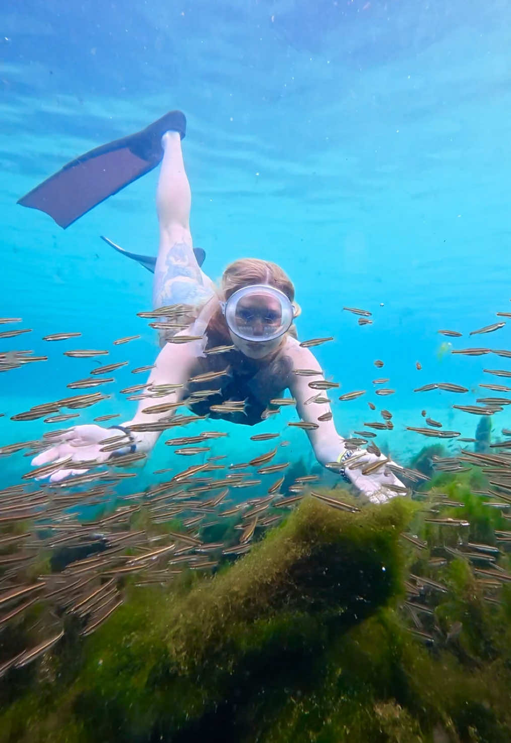 @Coralia Dives ๐งโ๏ธ