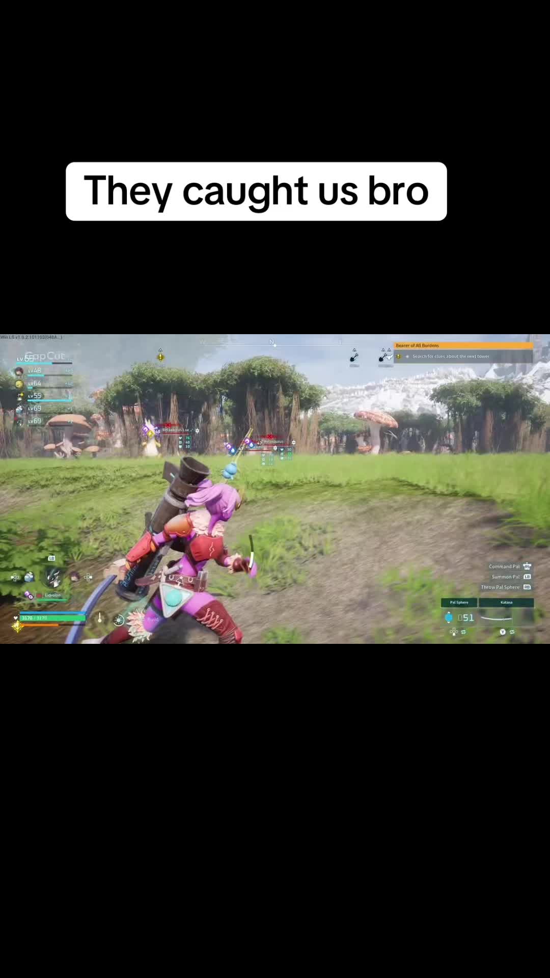 @Shofun