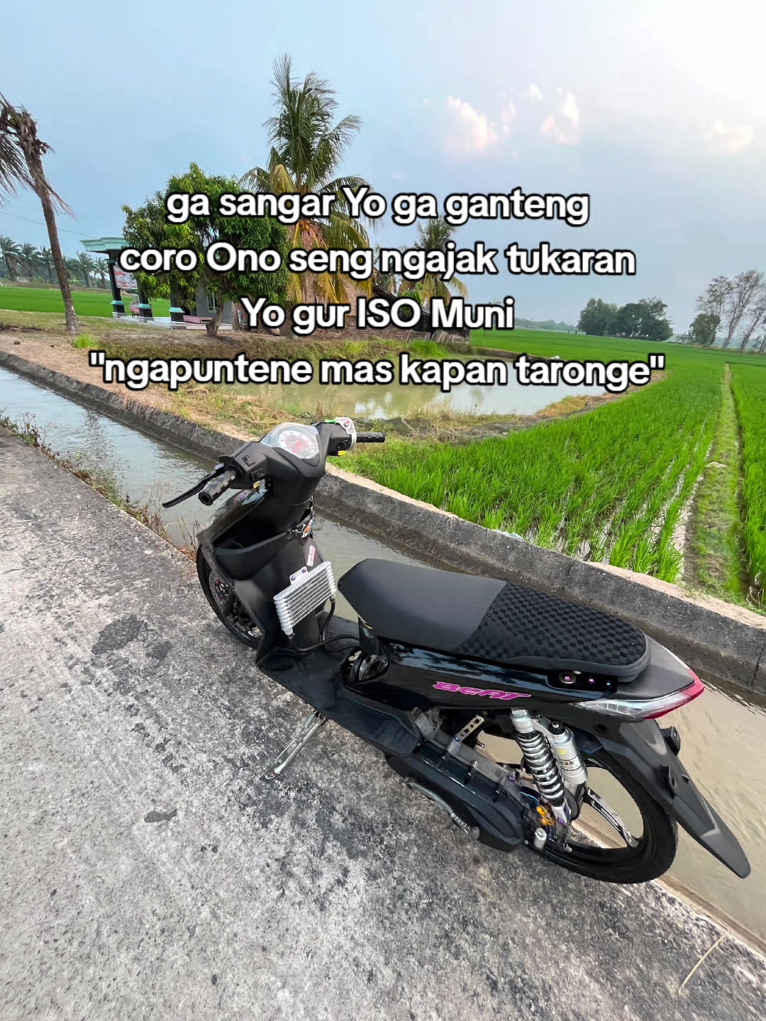 @ANDIKA STD V2