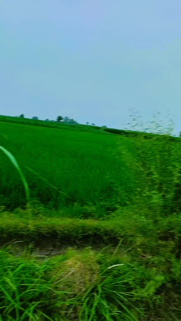 @Mahr Fakhar,Thiraj