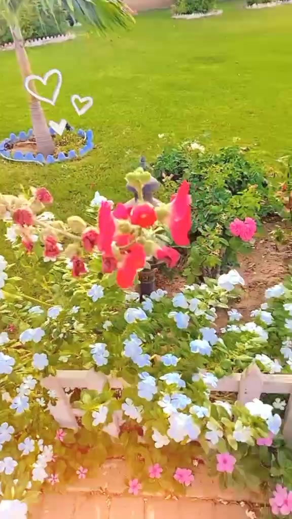 @ᥫ᭡𝑀aدی𝐻𝑎🥀 𝑆𝑖𝑑دی𝑞𝑢قᥫ᭡