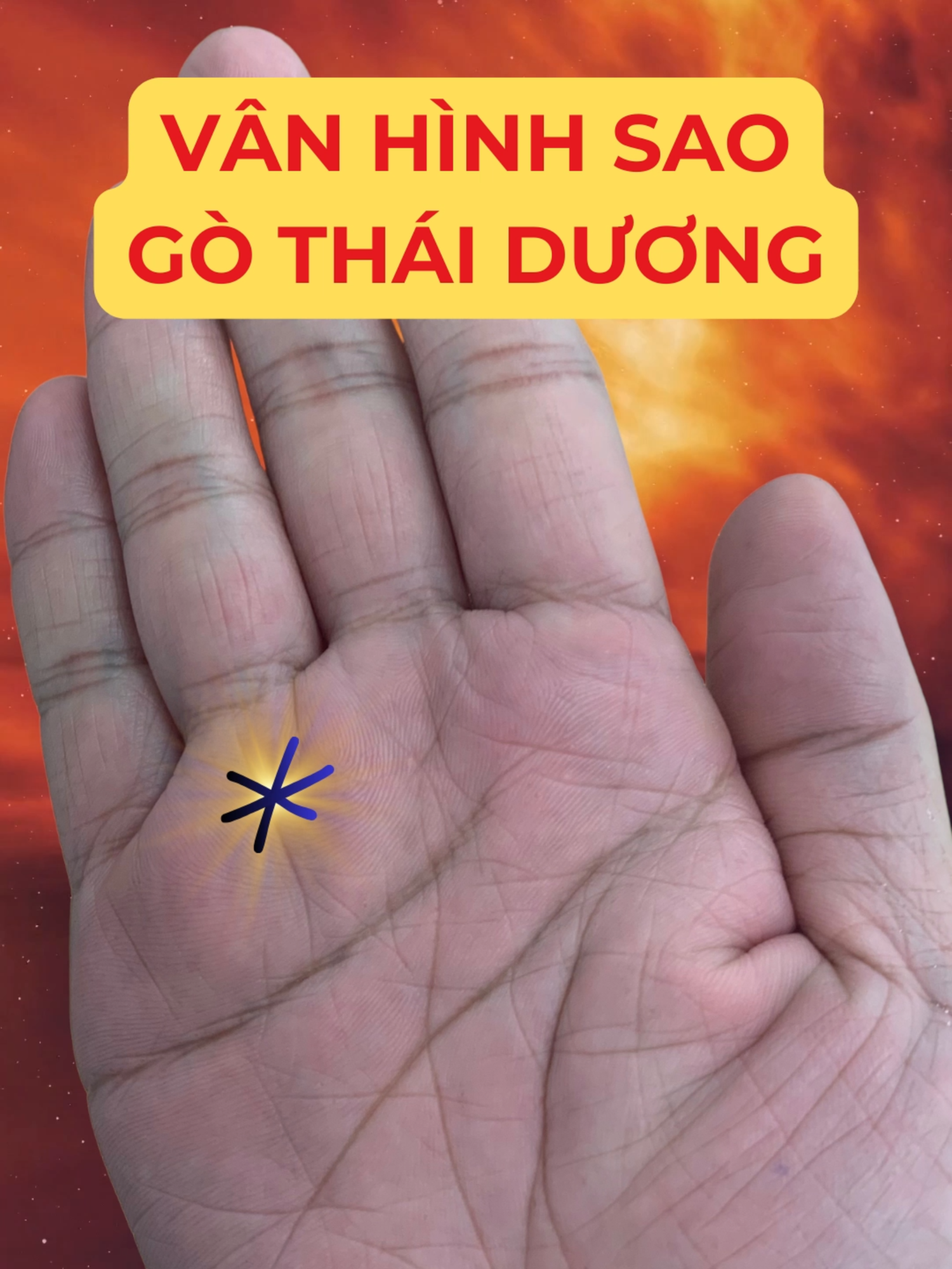 @Học Xem Chỉ Tay