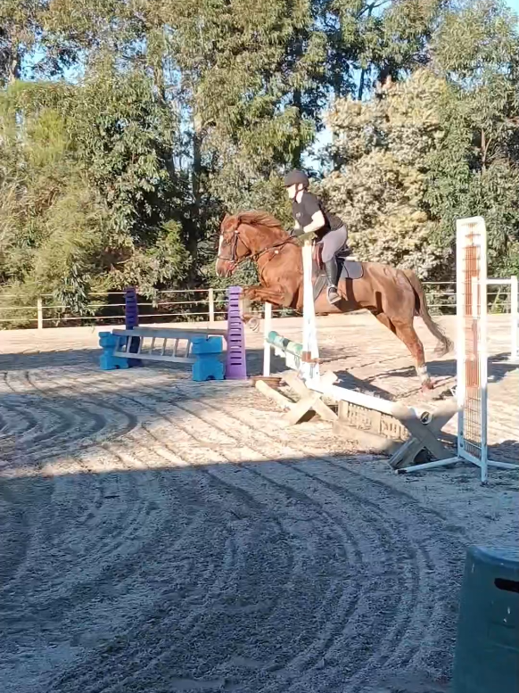 @Pip_equestruan9