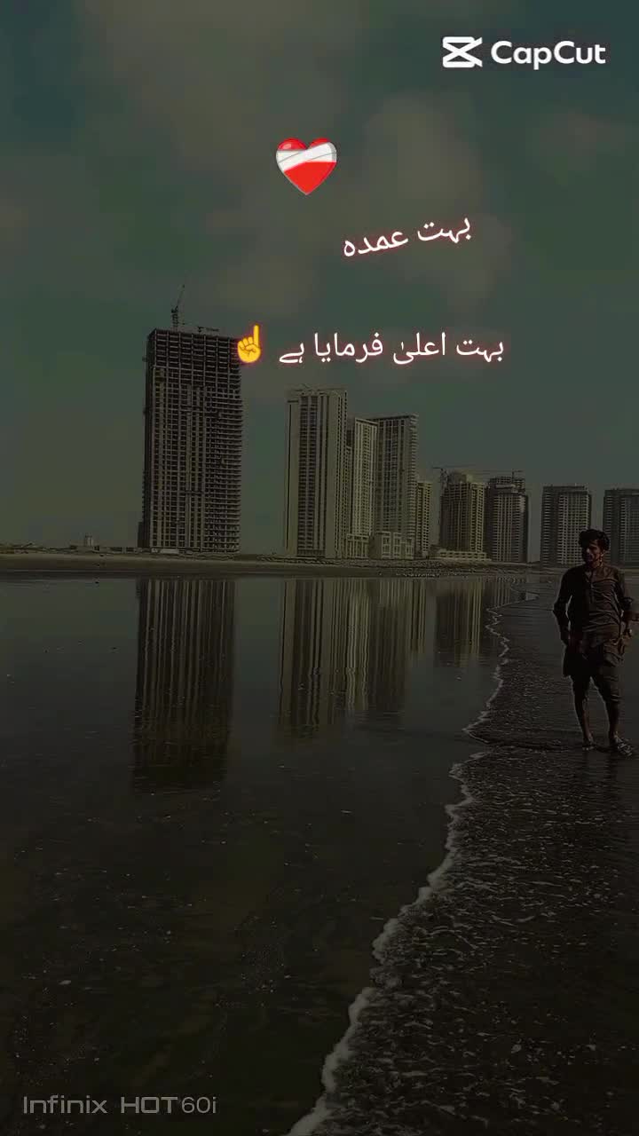 @🦁Saqib Turi 313🦁