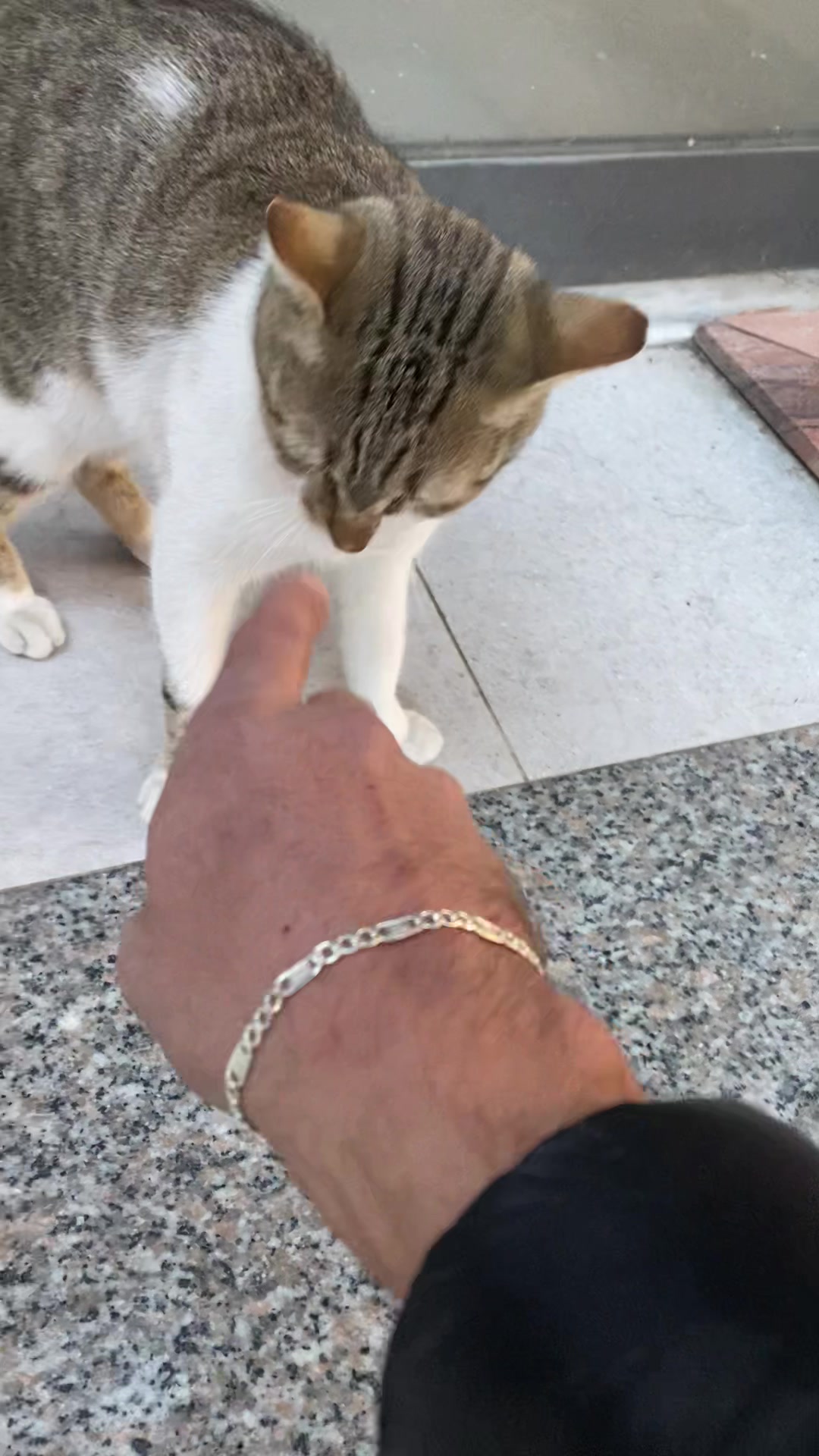 @Toni.Dervishi✌️🥷⛓️