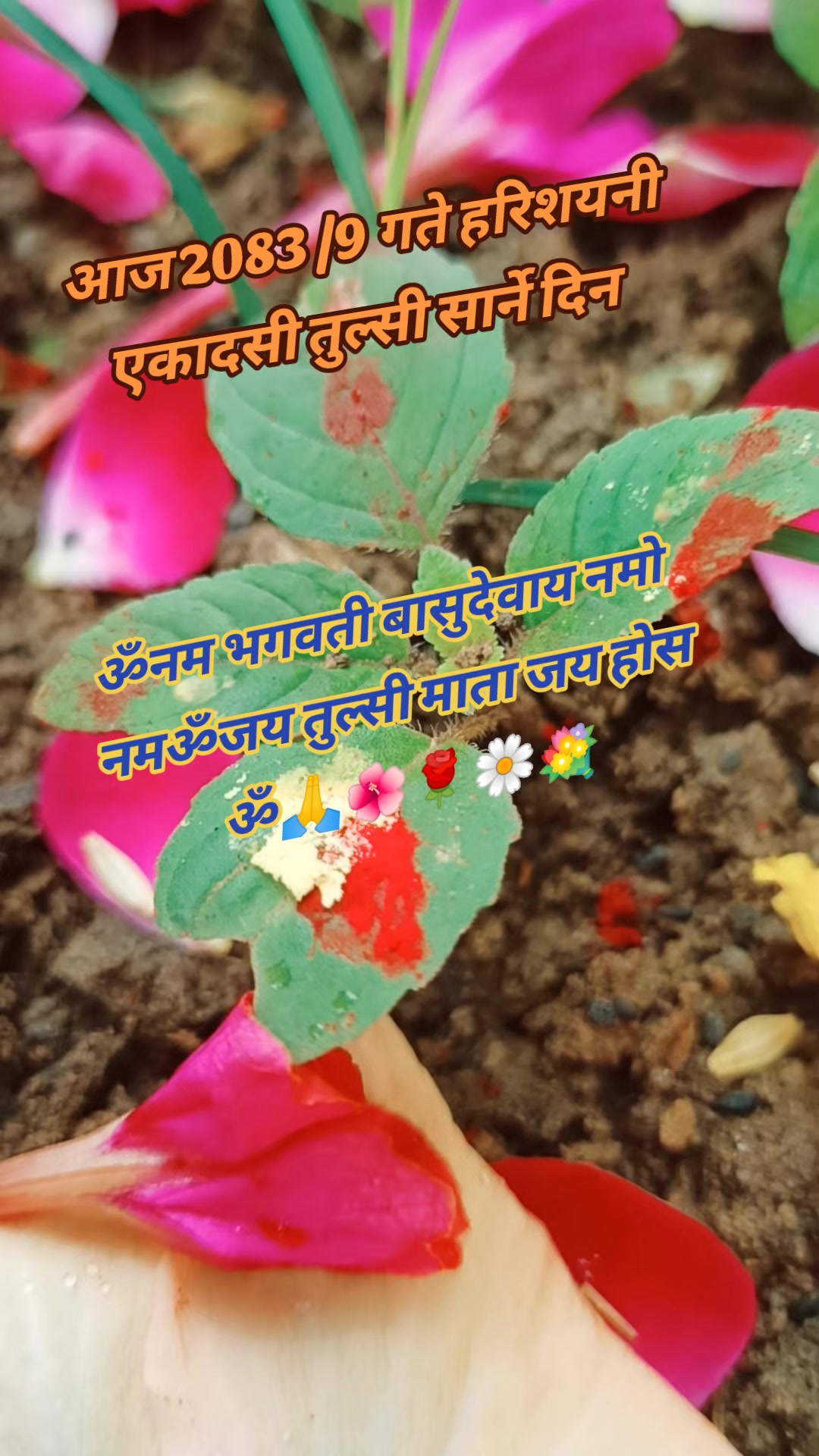@Aasha_bisho_karma
