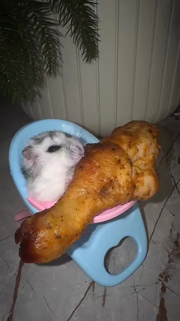 @🥧