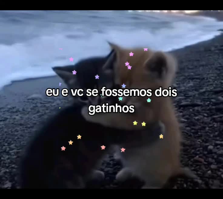 @Lari