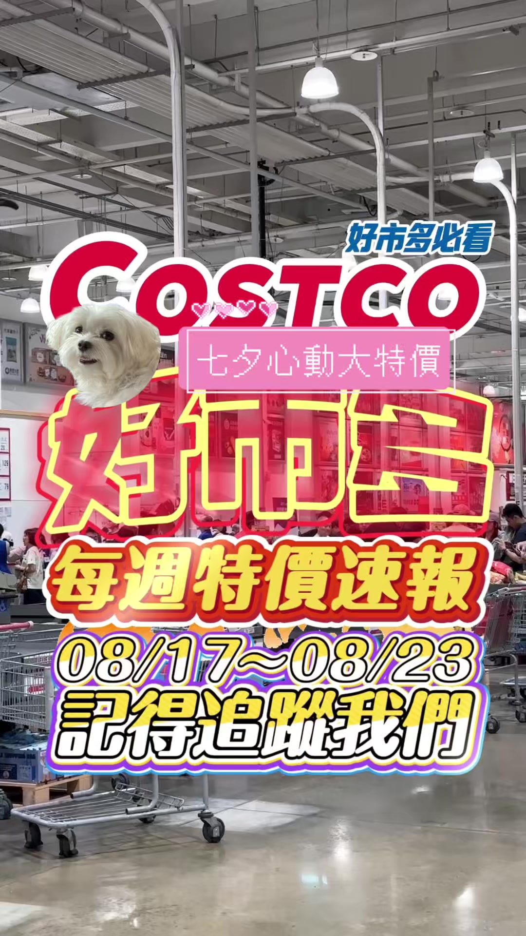 @Youtube搜尋🔍可可酒精