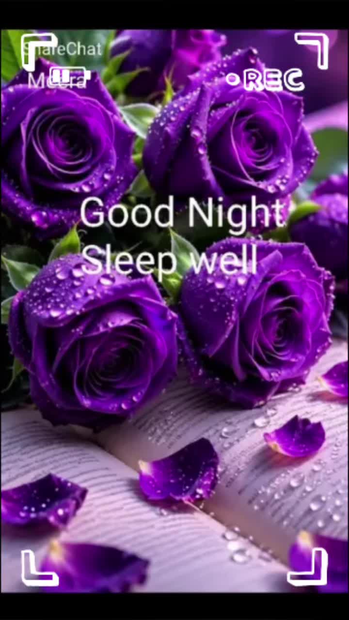 @Sai Meena