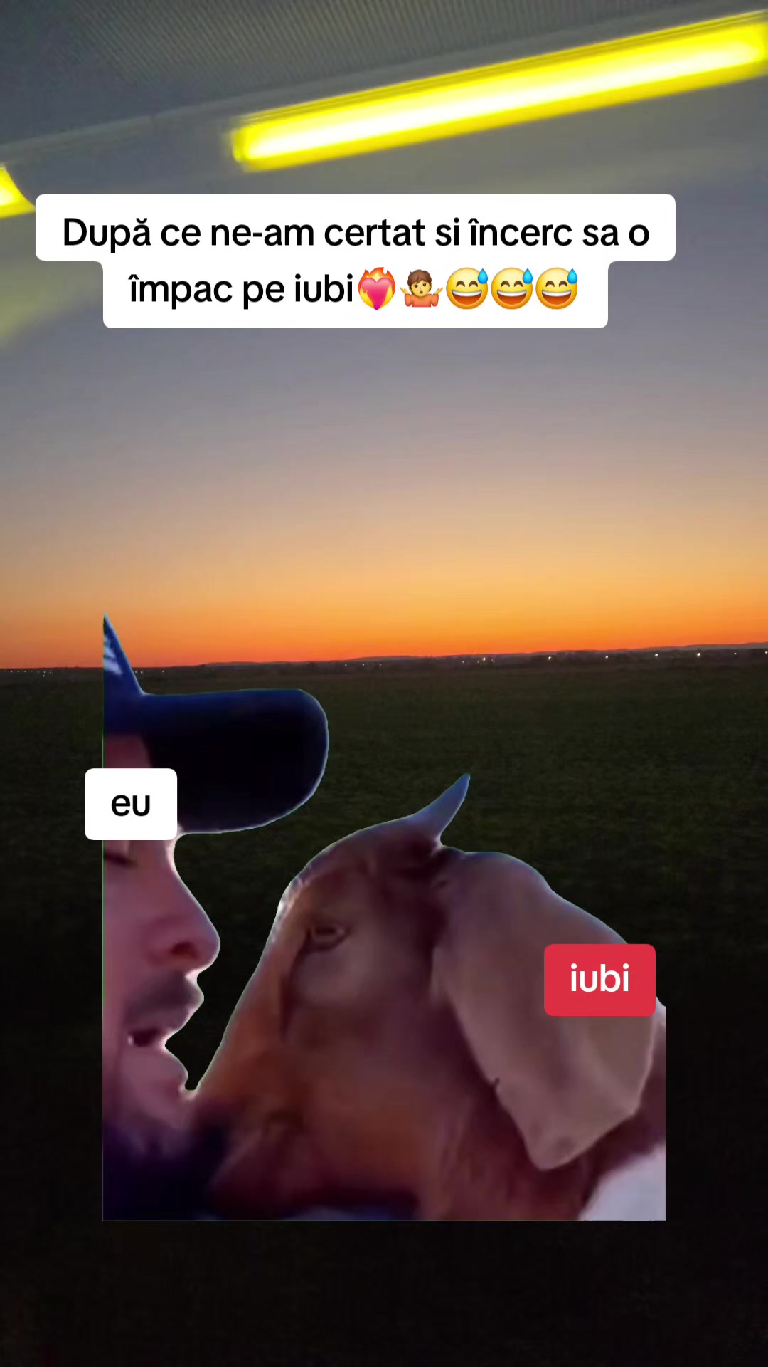 @Irimia Vasilică