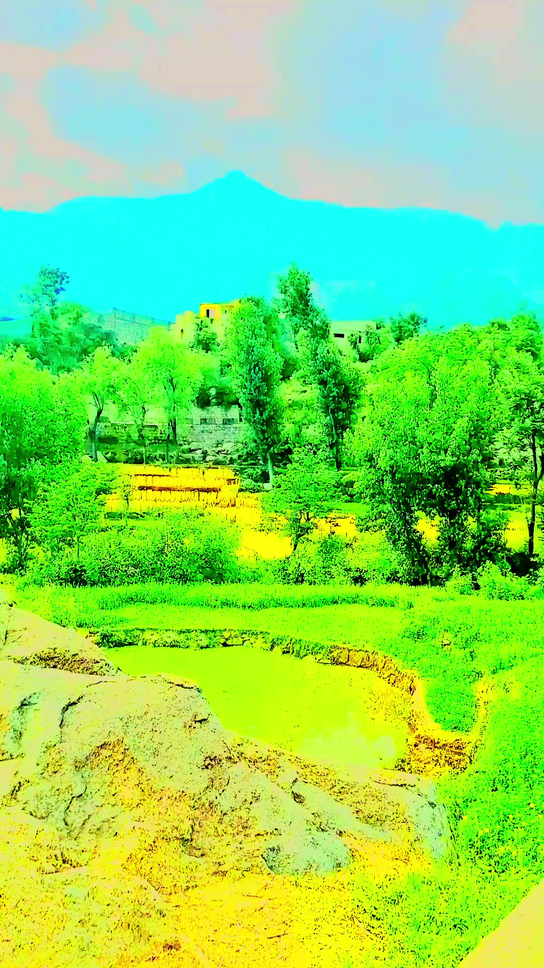 @zibran ansar