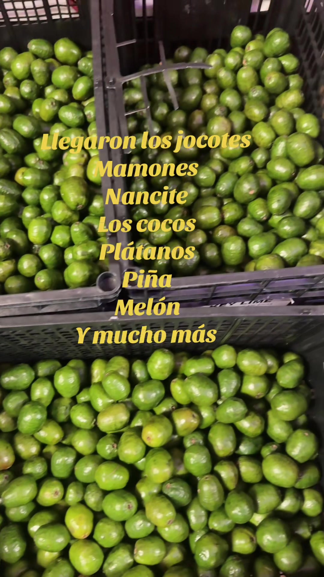 @🇳🇮EL CHANGARRO NICARAGUENSE