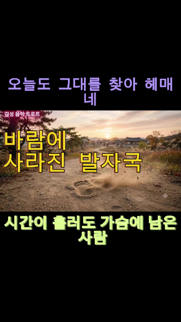 @감성 음악 트로트