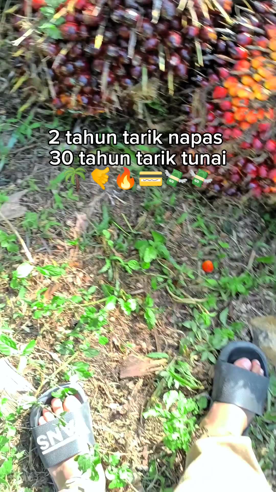 @Anak bontot si bungsu