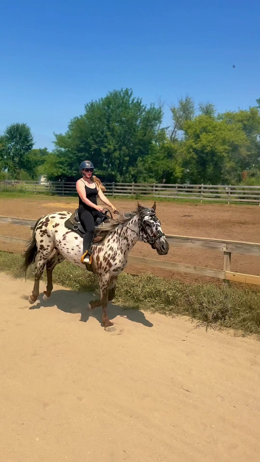 @Free Spirit Equestrian