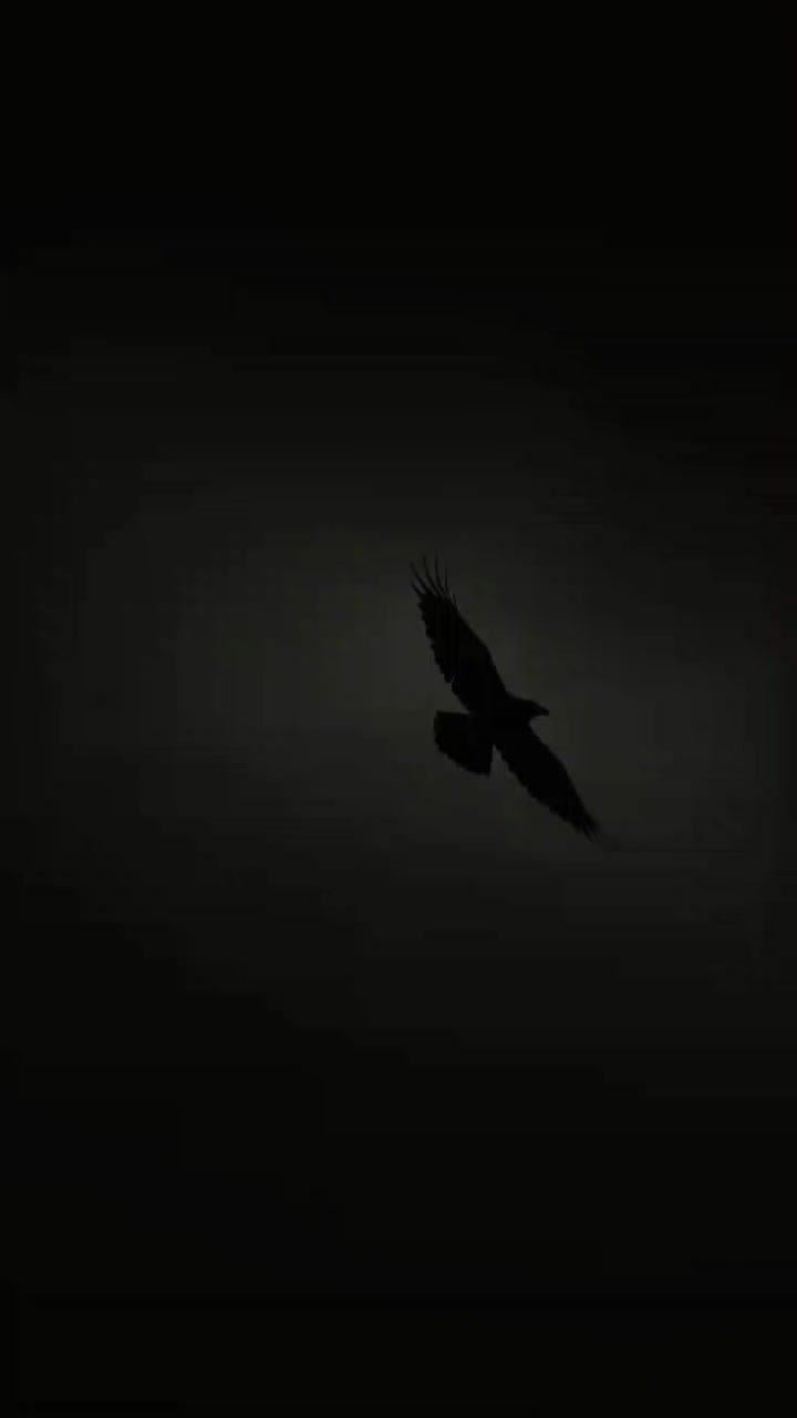 @Hحnii🚩🌙