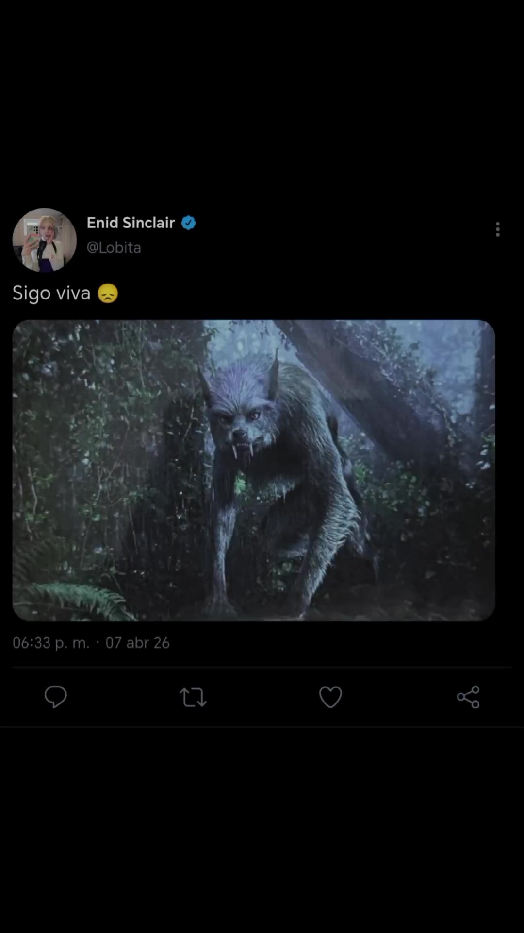 @wdndy