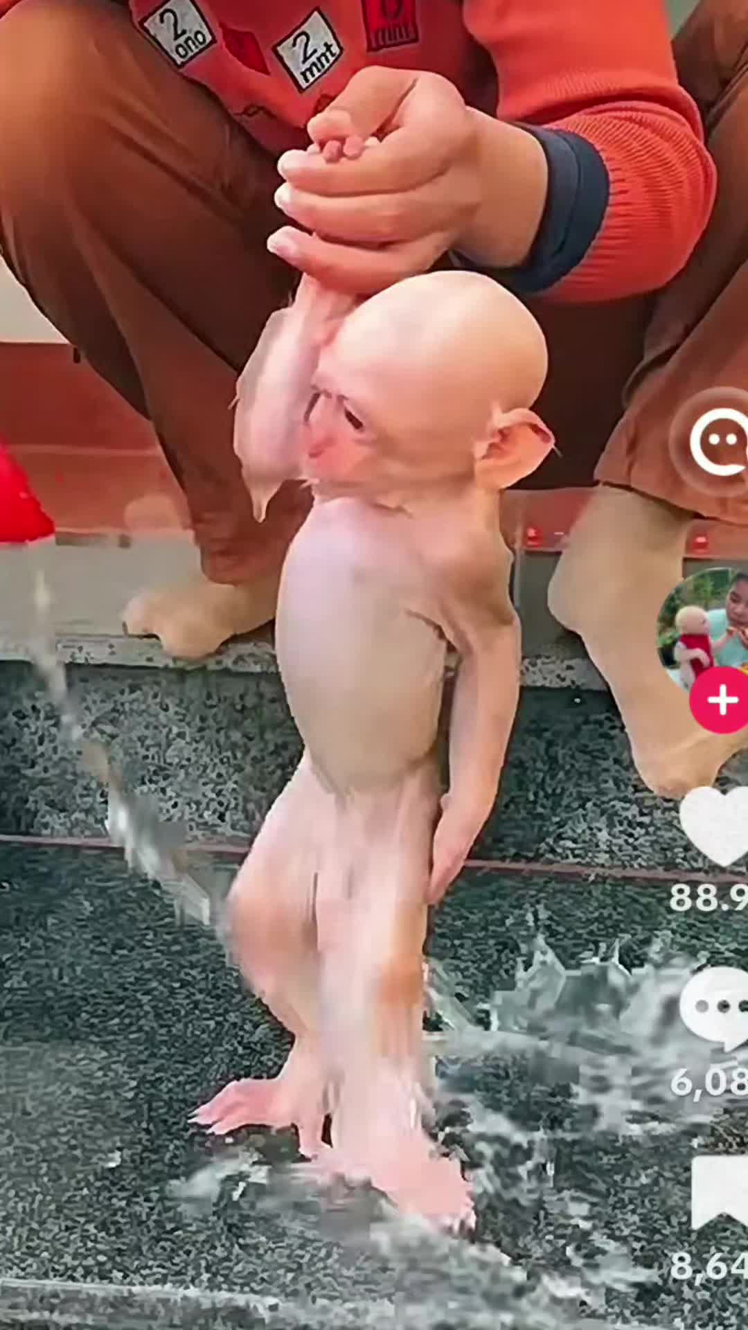 @𝒲𝑜𝒶𝒹𝓎𝓈_𝒲𝑜𝓇𝓁𝒹