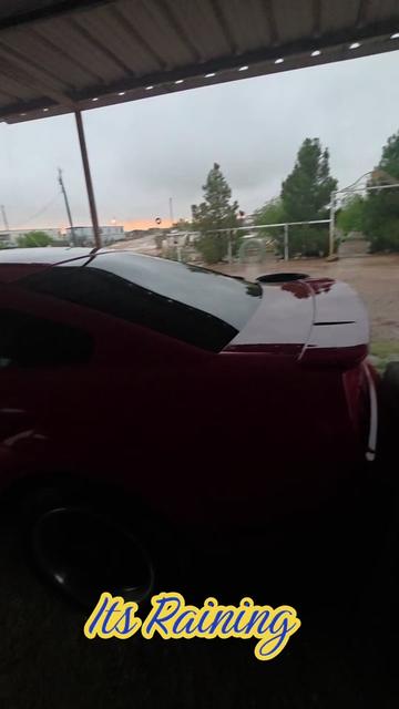 @Kale Hailstorm
