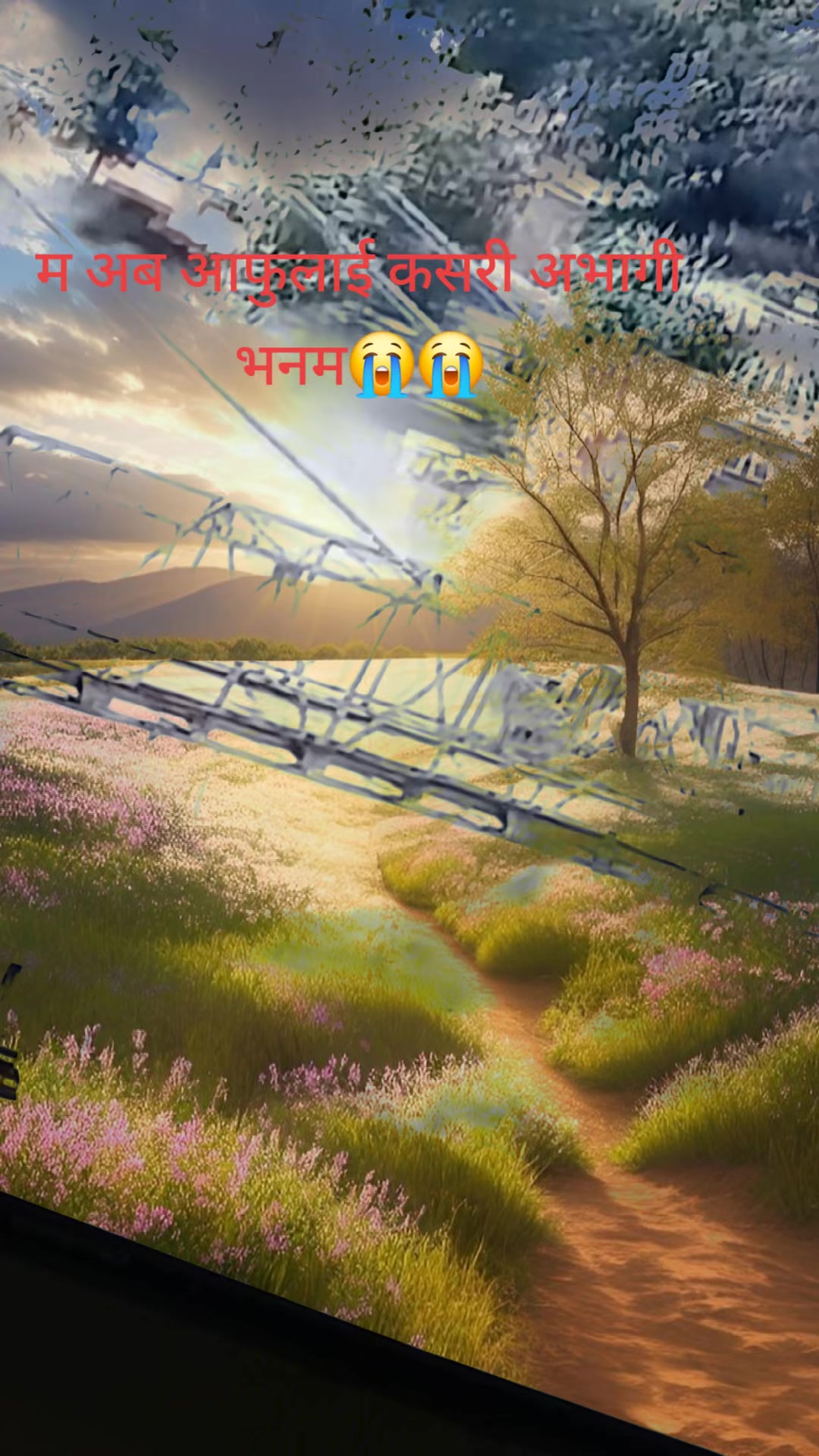 @bindu Bhandari