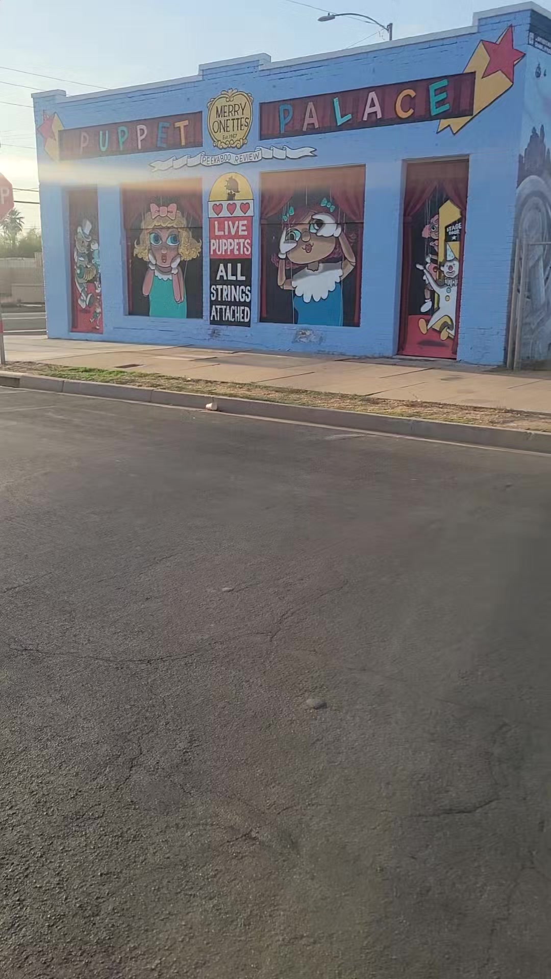 @cactifam
