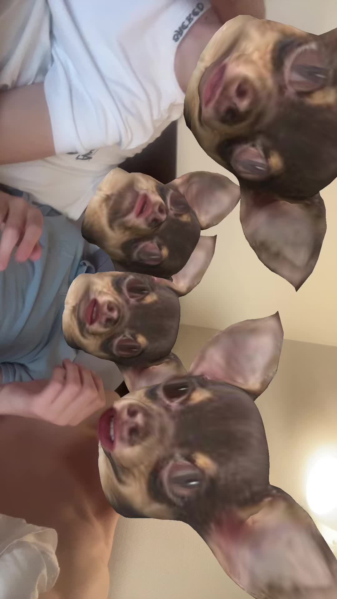 @g1ntezy#YNFM