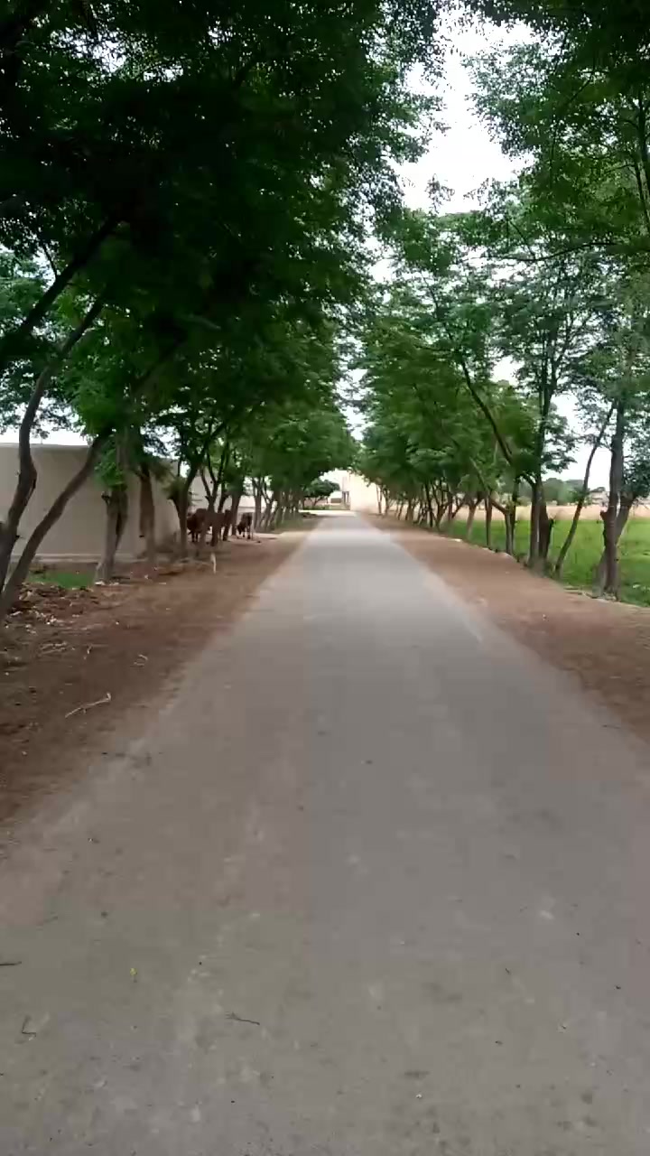 @Muhammad Amir S