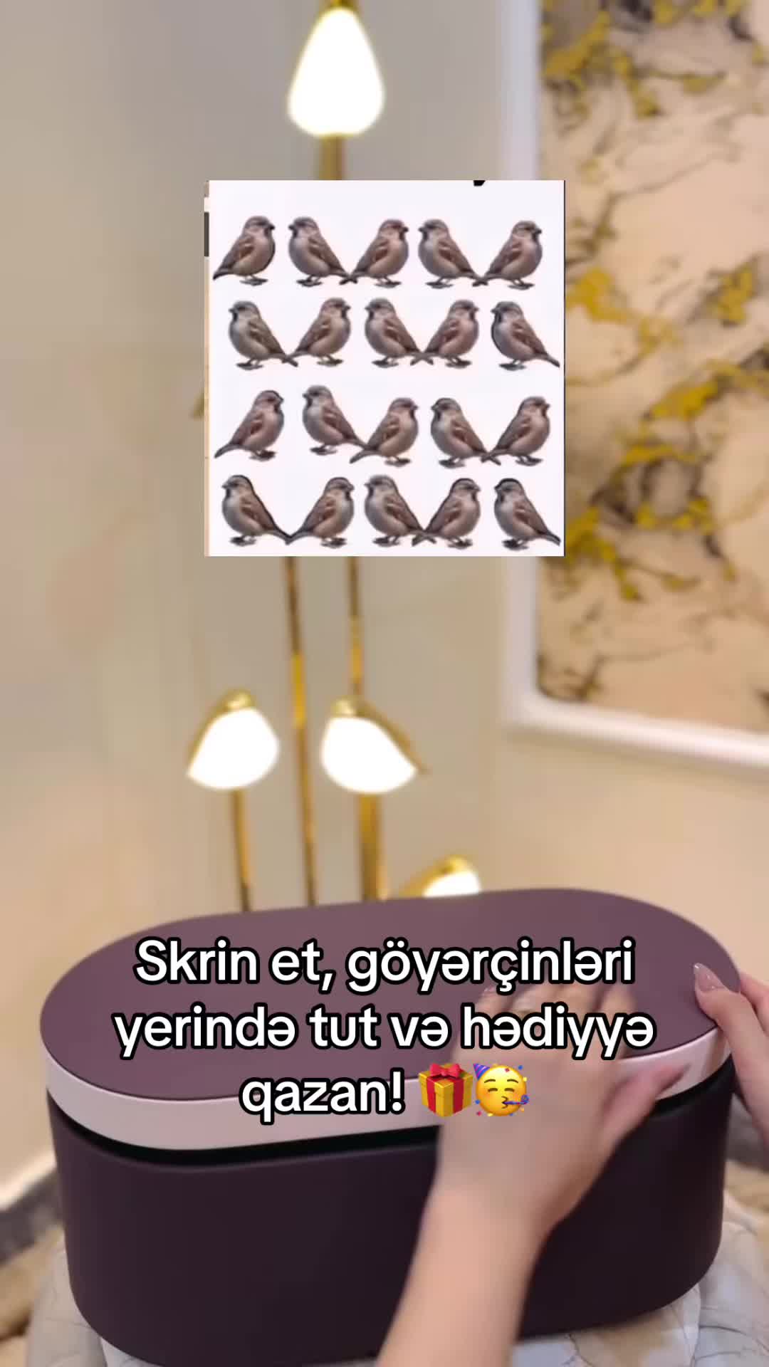 @f.guliyevaaa