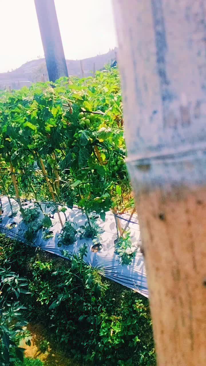 @zhanti