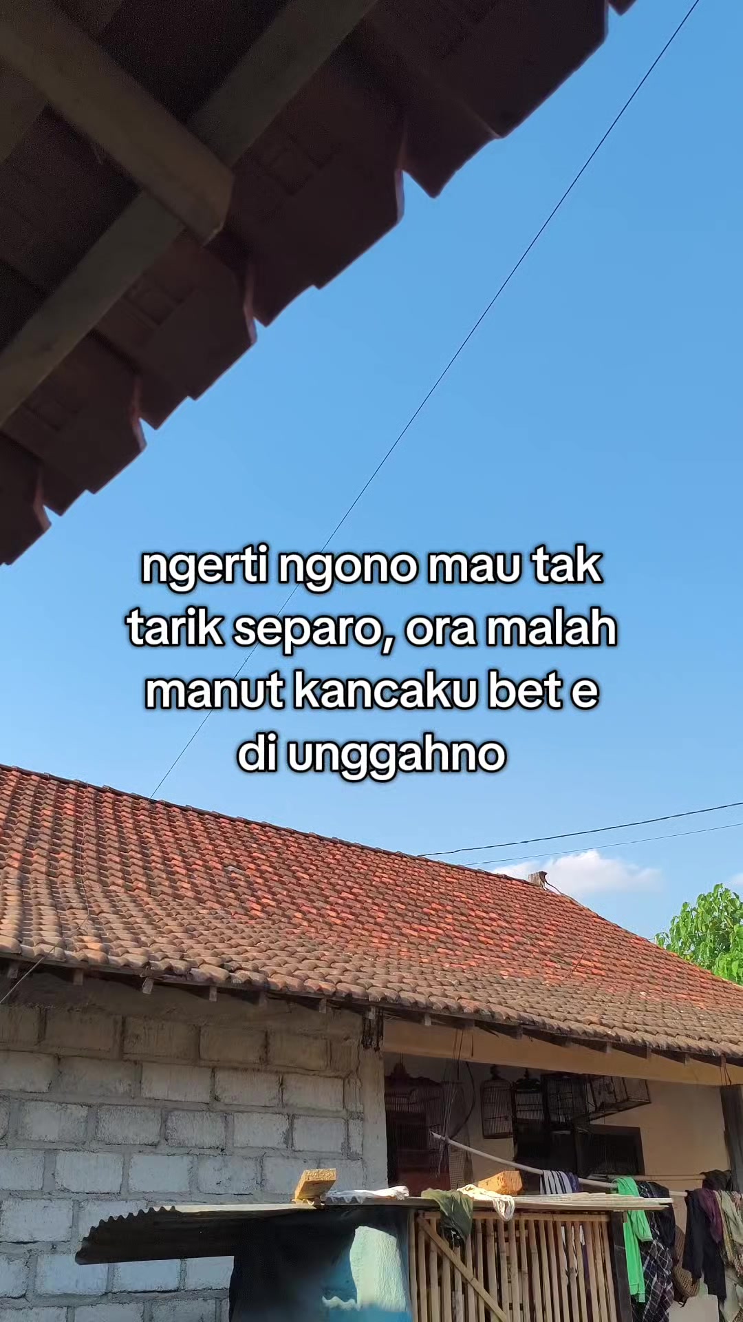 @aliell