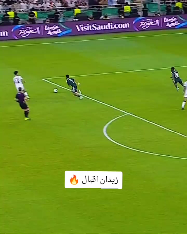 @ملعب البصرة جذع نخلة