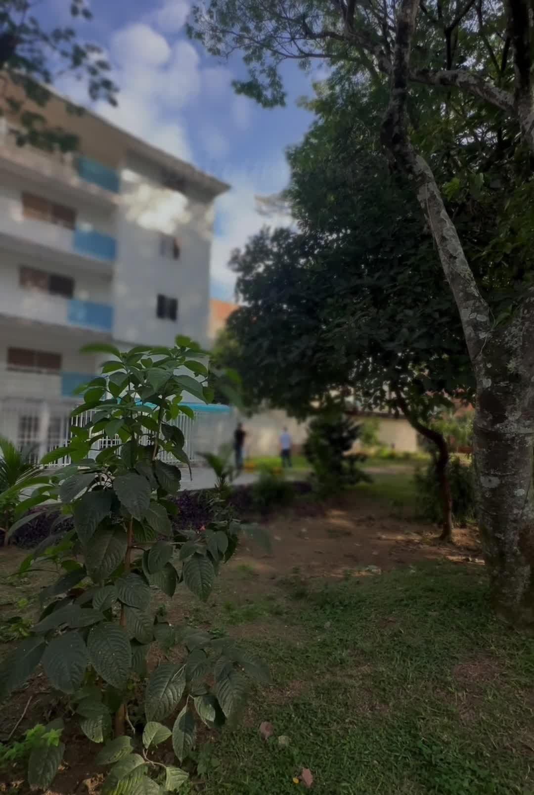@Edificio Pinares del Ingenio