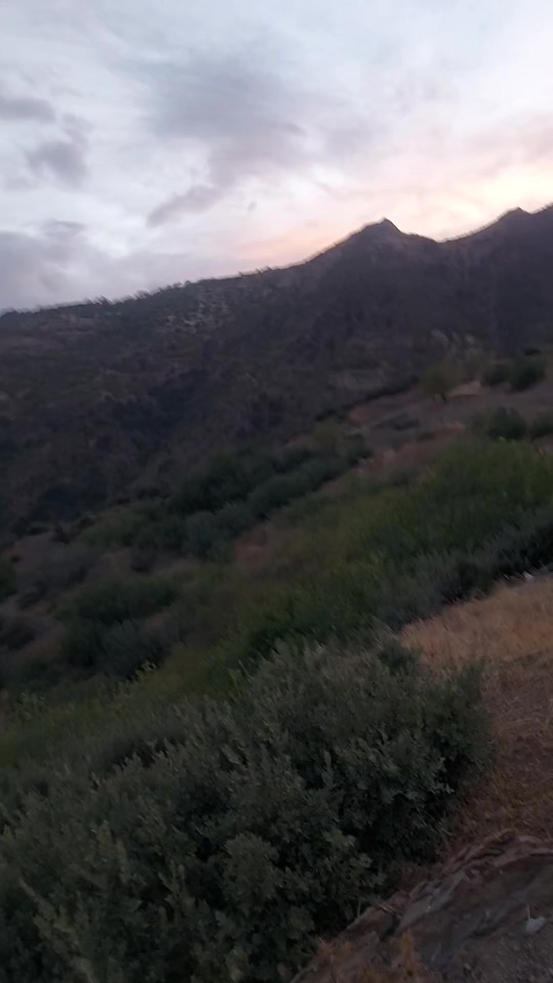 @ام الاء@