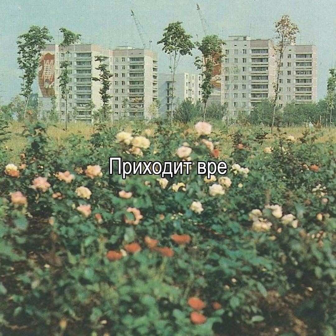 @Элли