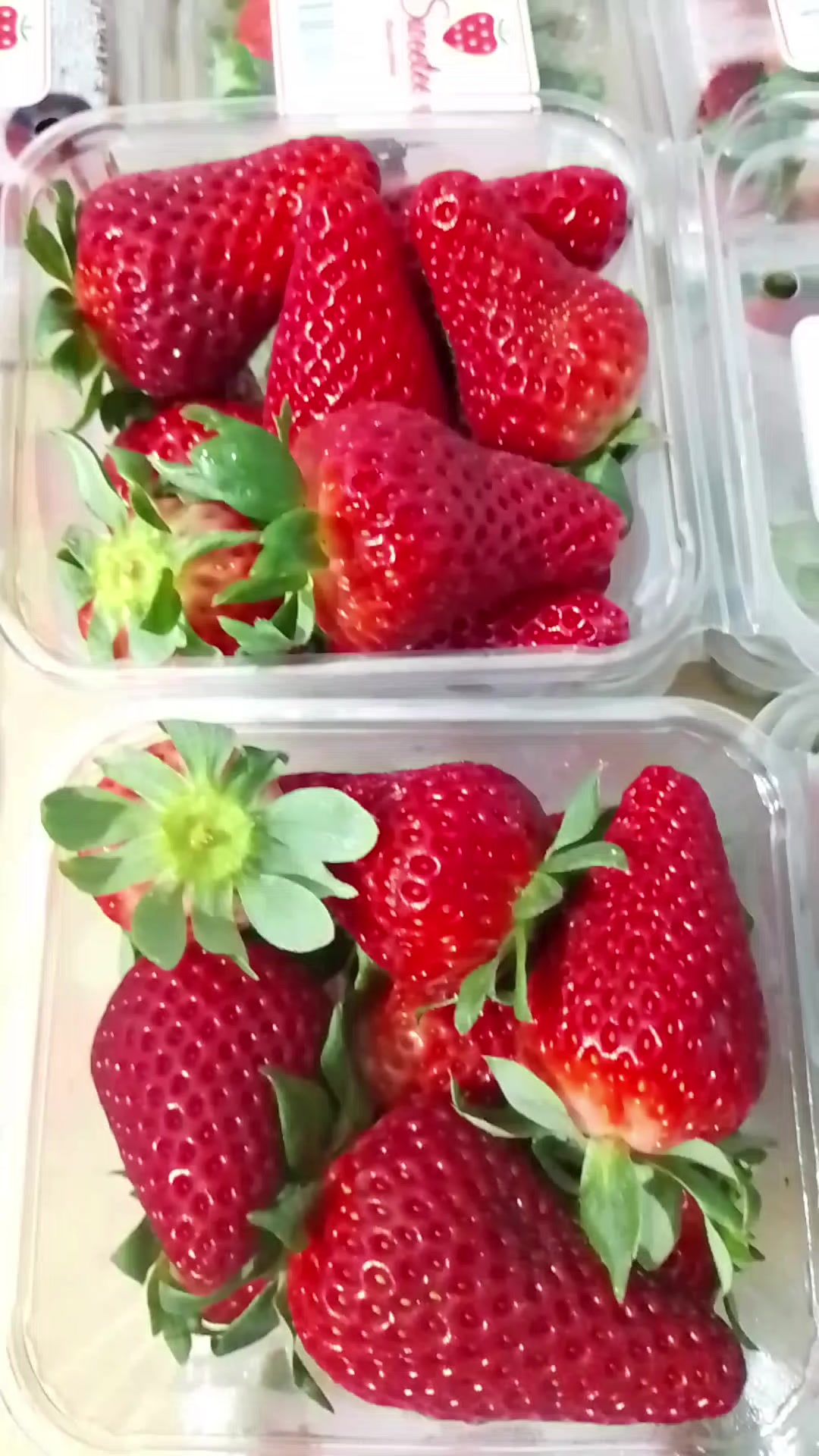 @winal harahap