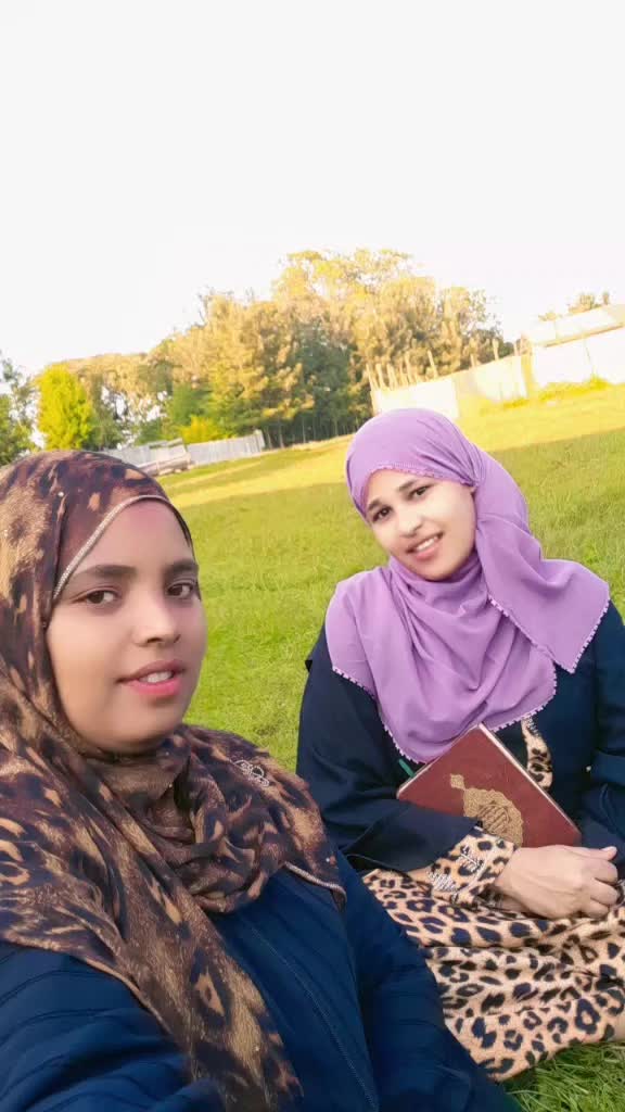 @zedoo jimmaa Gembee