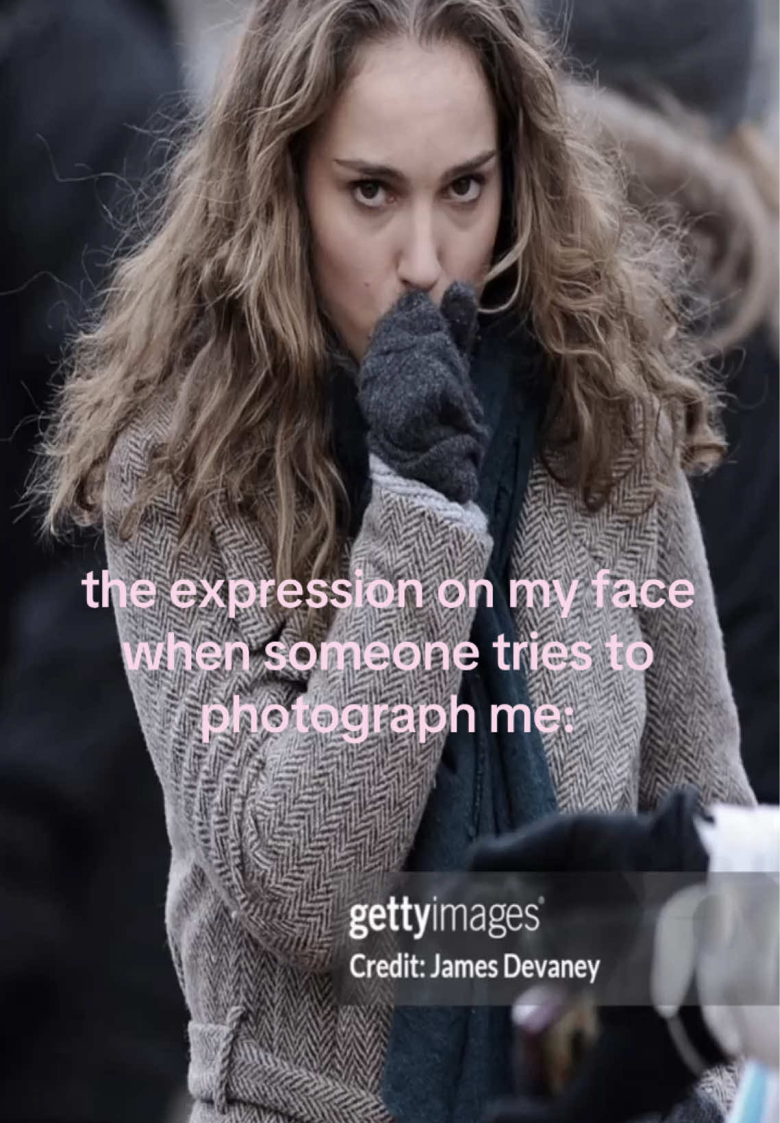 @nat ⋆˙⟡