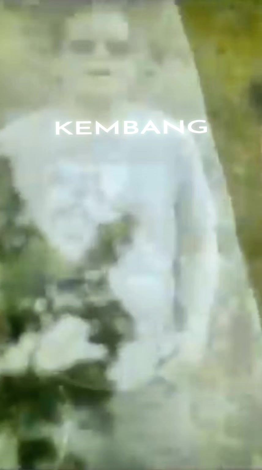 @𝐇𝐚𝐫𝐲