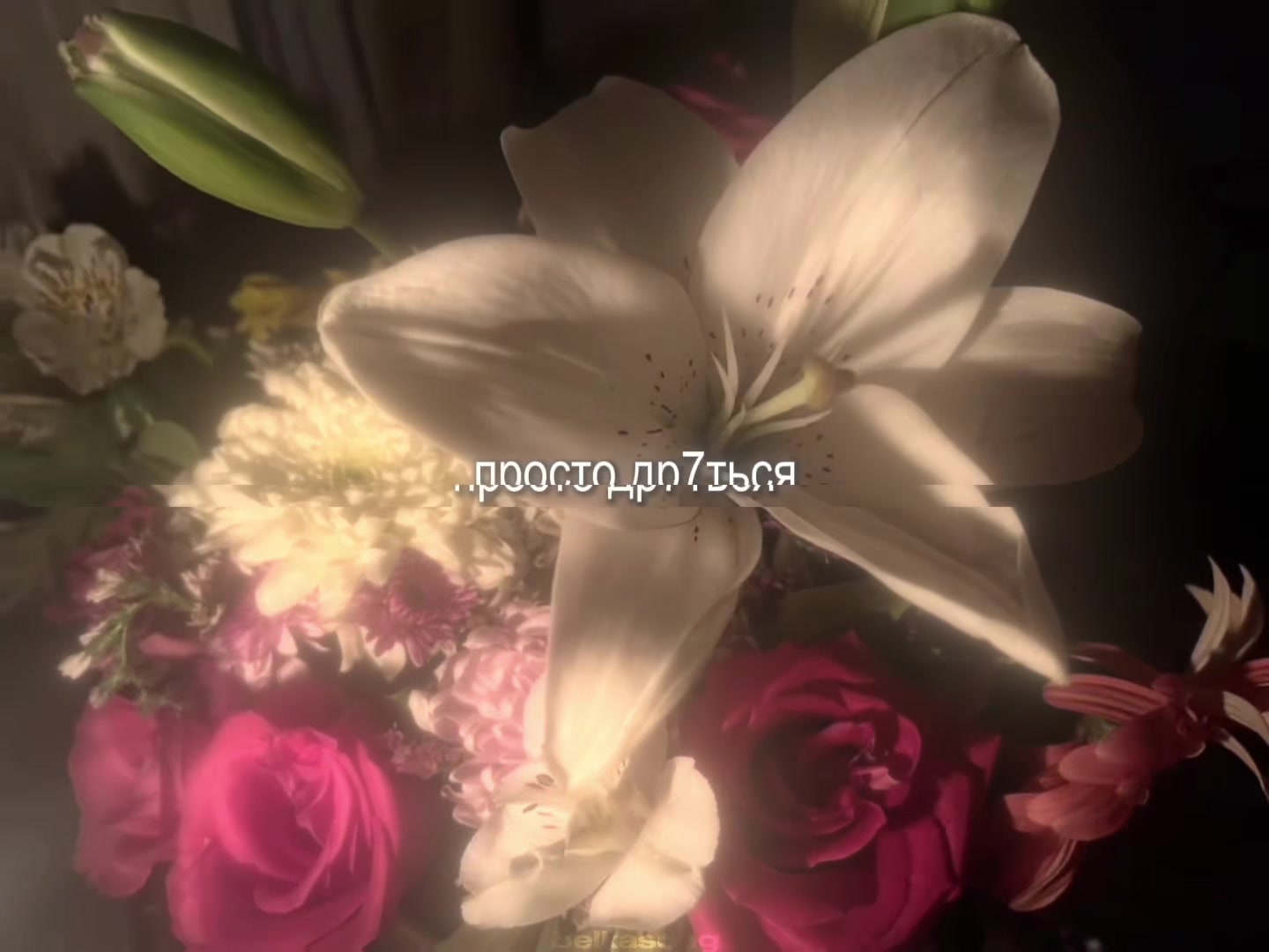 @звуки для липсингов