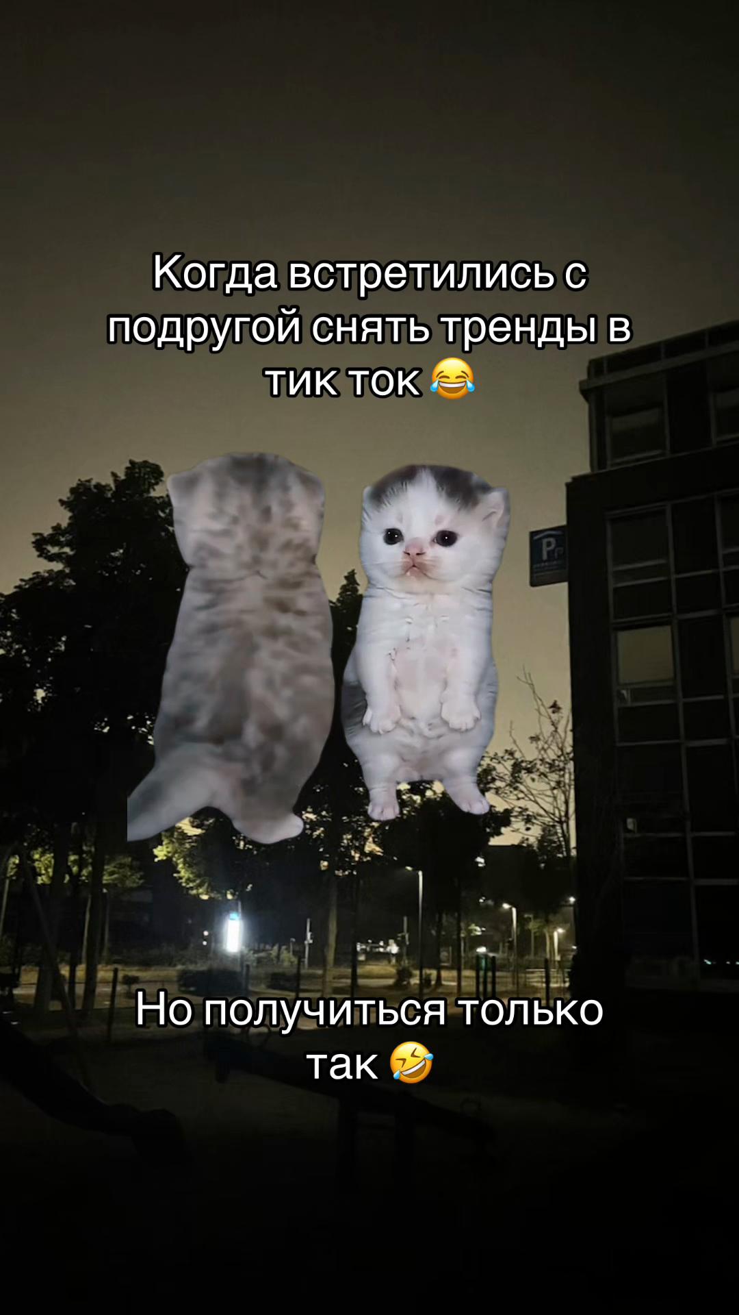 @⚜️𝓝𝓪𝓽𝓪𝓵𝓲⚜️